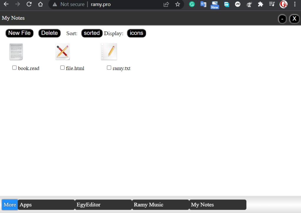 ramy.pro Local files