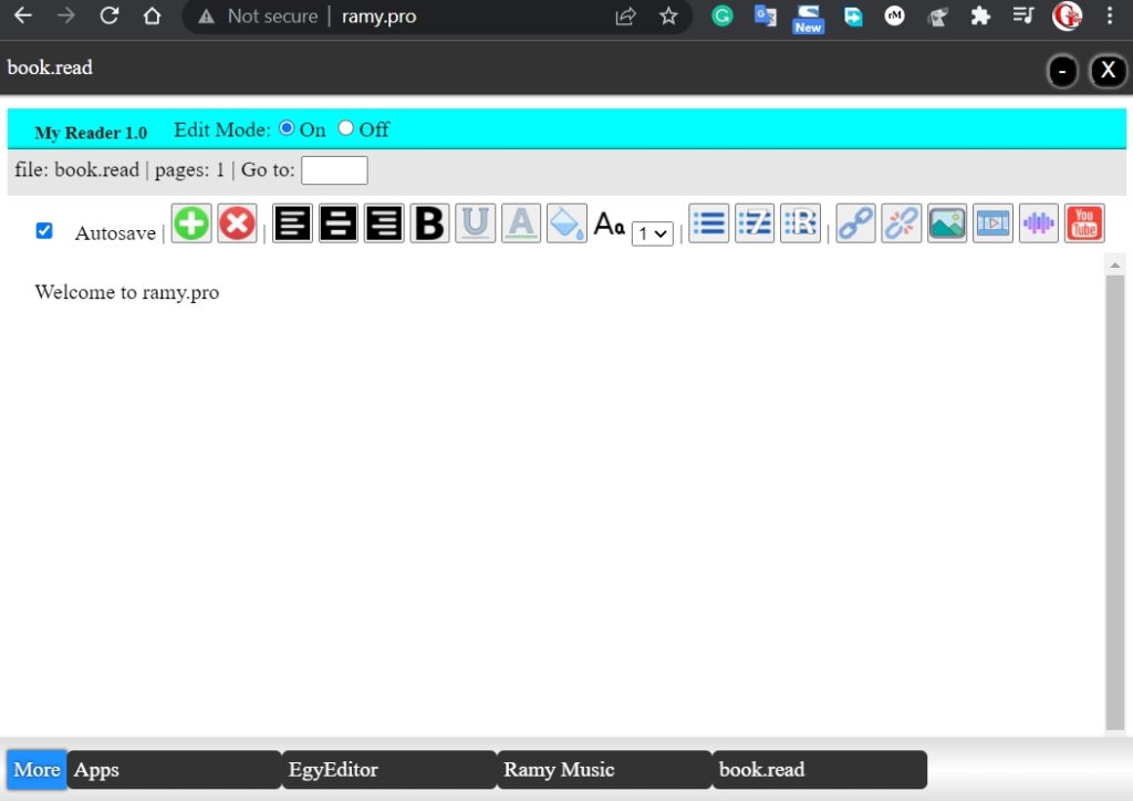 ramy.pro Built-in files editor