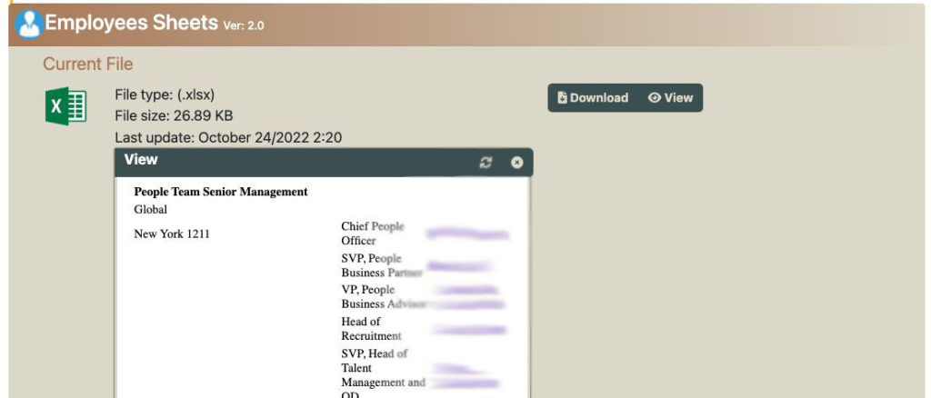 View and download the current excel file